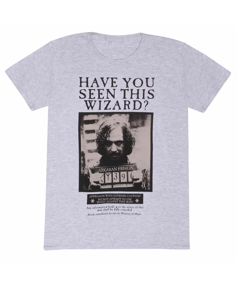 Hieshop|Harry Potter - Sirius Black Poster|Heather Grey