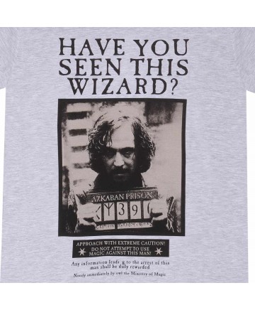 Hieshop|Harry Potter - Sirius Black Poster|Heather Grey